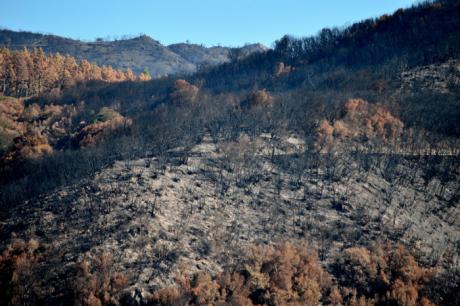 La basuraleza aumenta el riesgo de incendios forestales