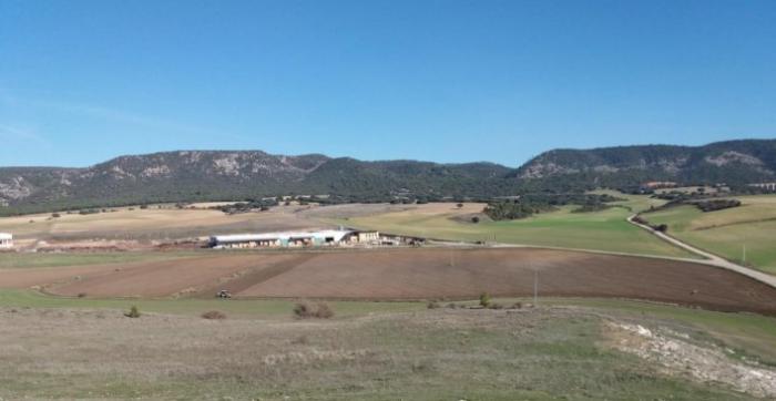 Terrenos previstos donde se ubicará el Parque Científico Tecnológico de Los Palancares