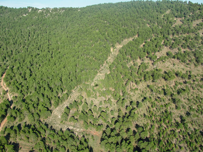 Aspecto actual del cortafuegos construido con maquinaria pesada durante las labores de extinción sobre el cerro de la Mazmorra donde finalmente se logró detener el incendio.
